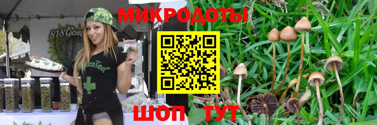 купить наркотики цена  Галлюциногенные грибы Magic Shrooms  Вход с VPN  Армавир 