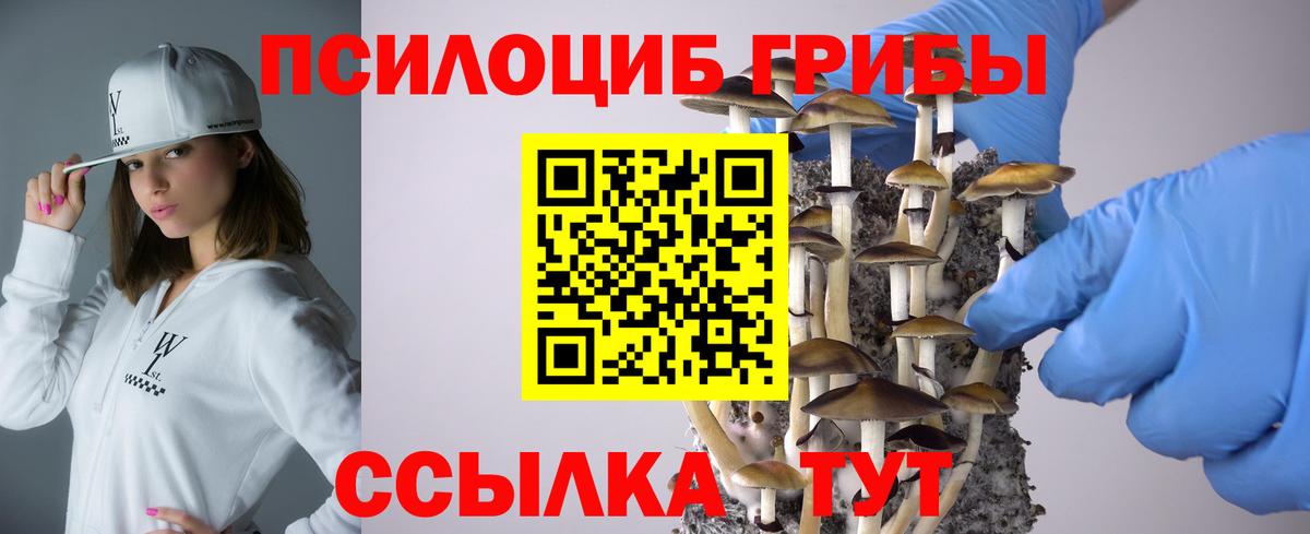 Псилоцибиновые грибы ЛСД Армавир